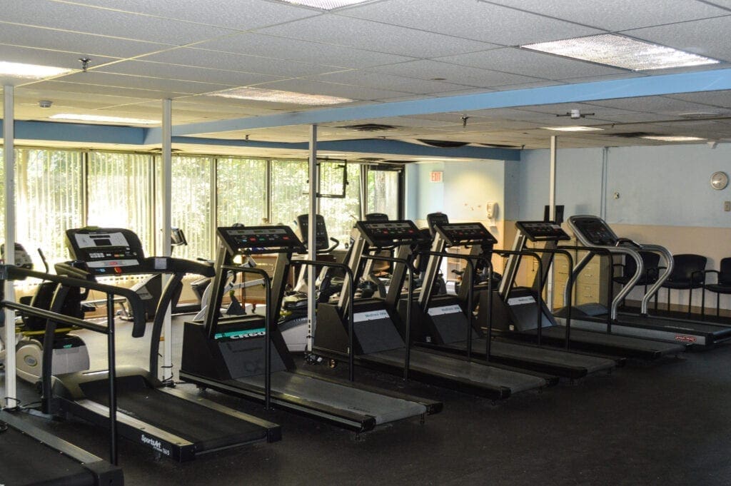 A photo of a row of cardio machines.
