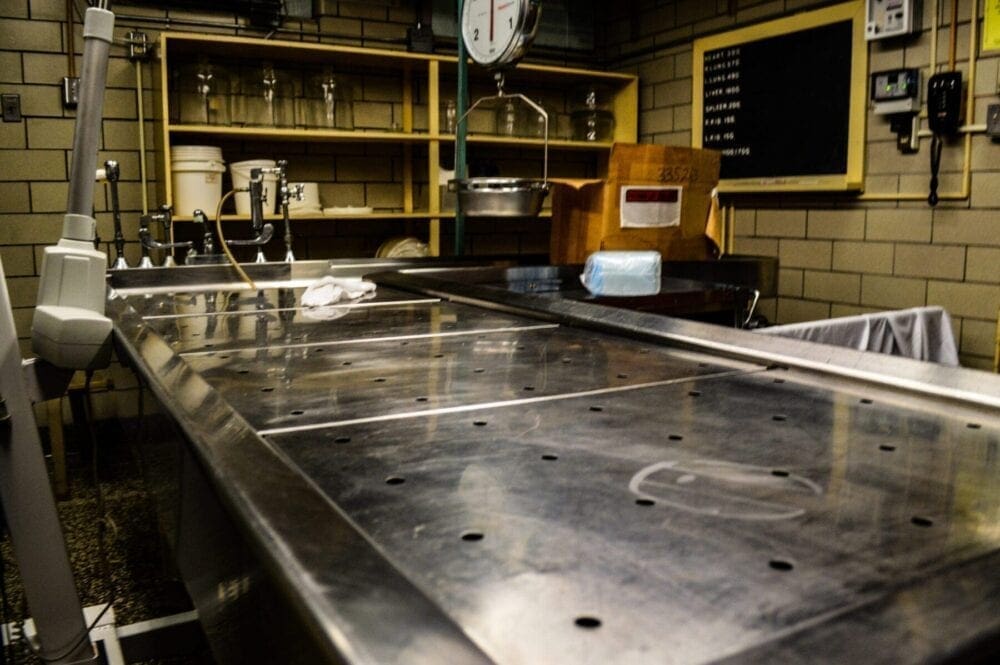 A stainless steel autopsy table.