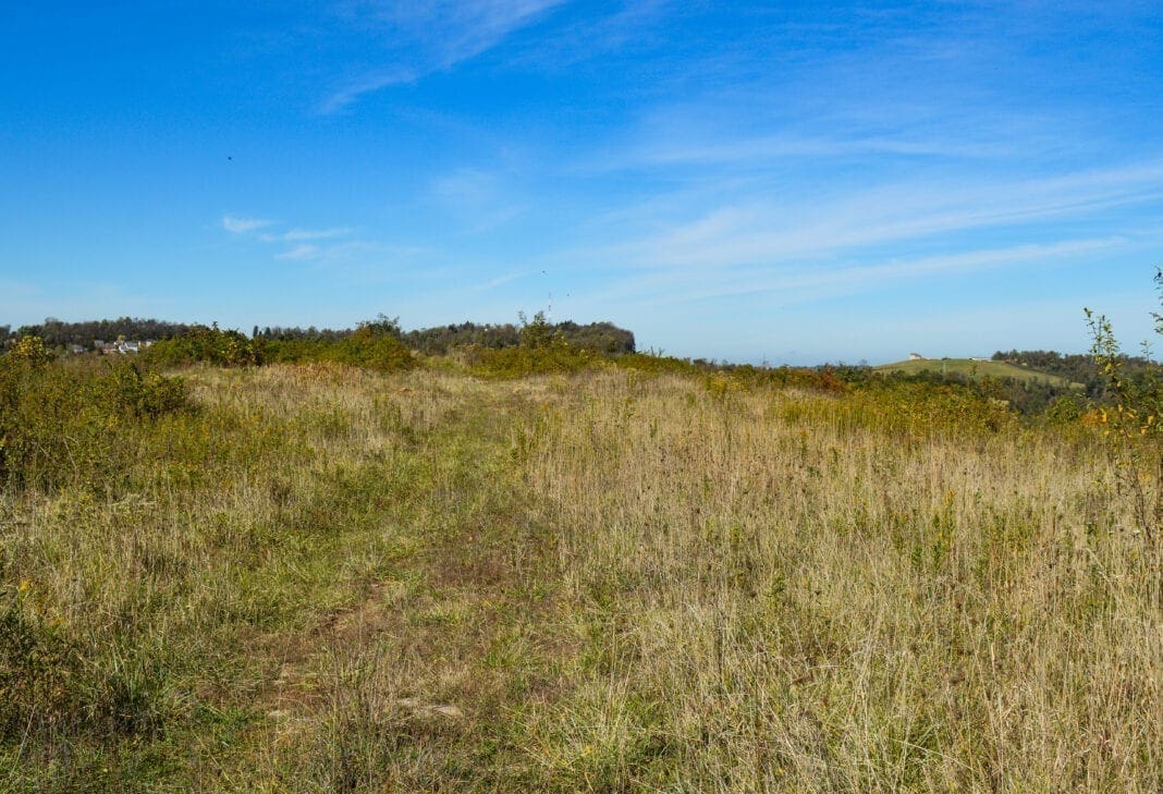 A plateau on the top of a hill.