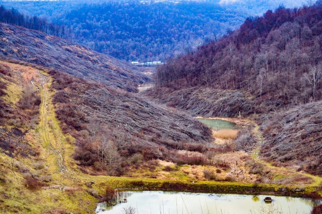 A swath of forest that has been lumbered.