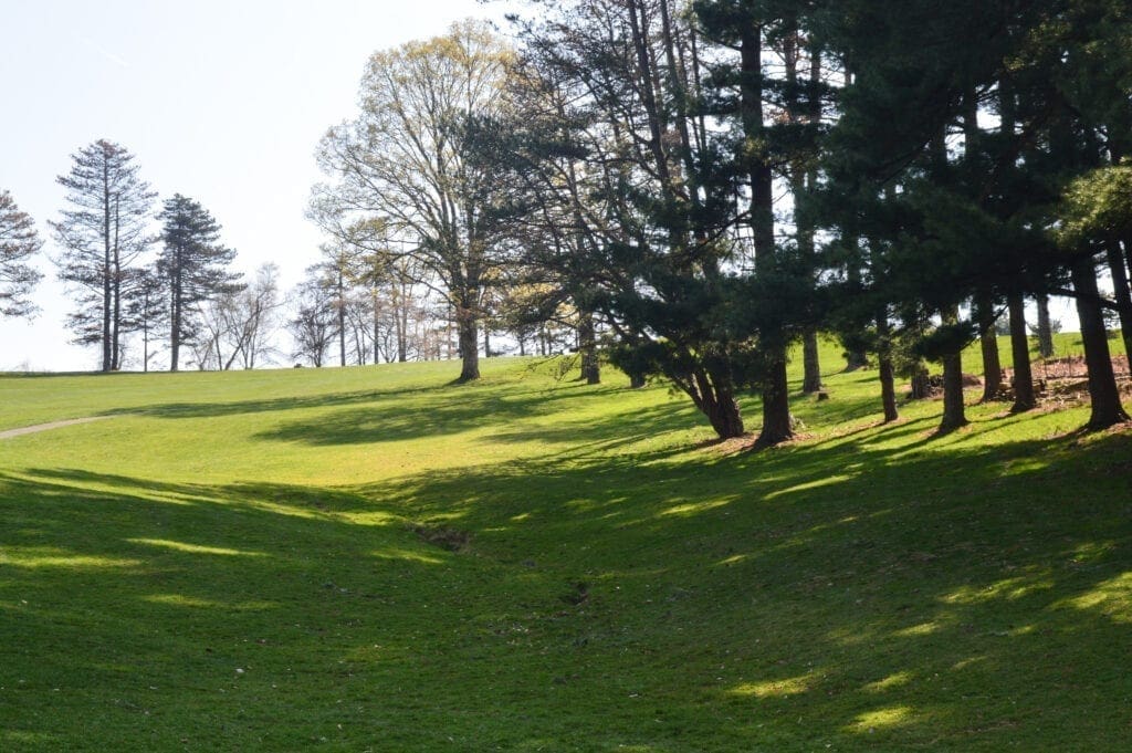 A gulley on a golf course.