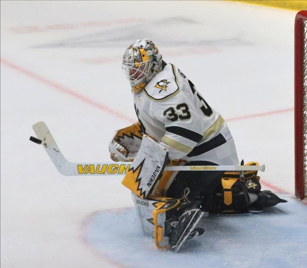 A goalie on the ice.