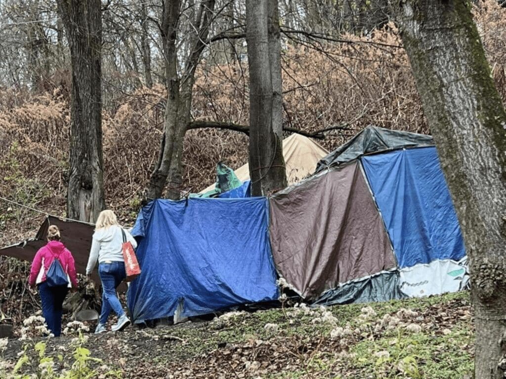 A group of tents in the woods.