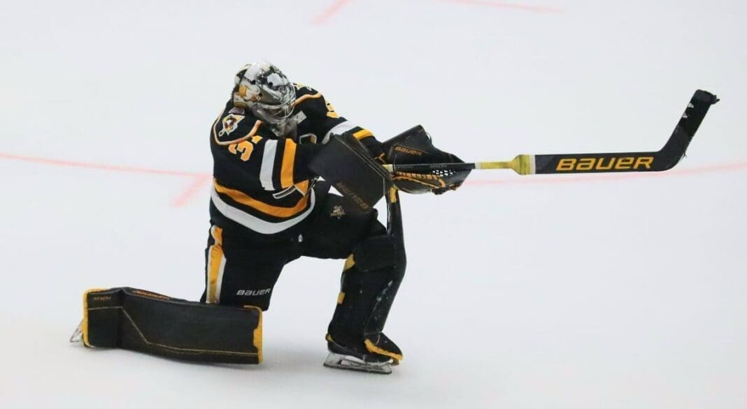 A goalie on ice.