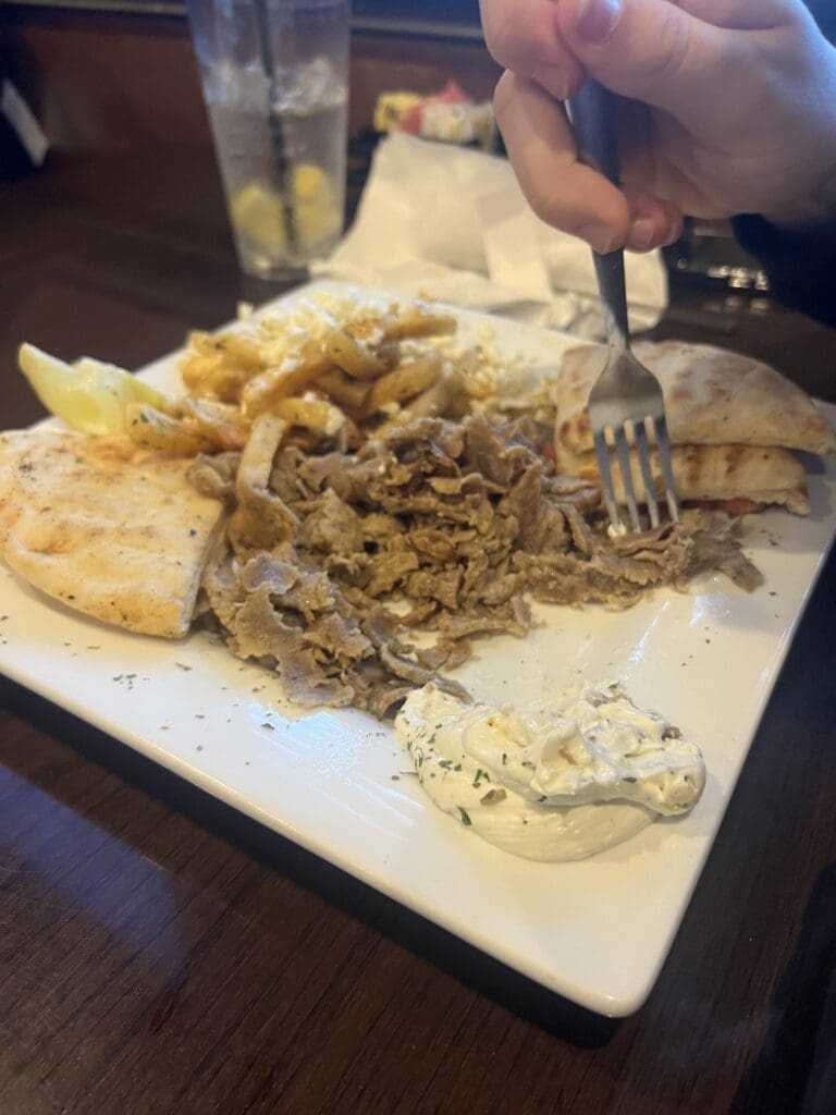 gyro platter