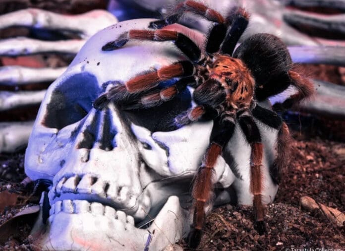 06FB34D9-D5E1-4B28-BD82-54DF262DE21A A bug.