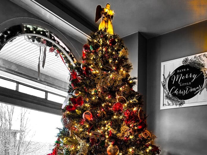 AC85021C-8B05-490B-A58B-2D62132003E6 A Christmas tree.