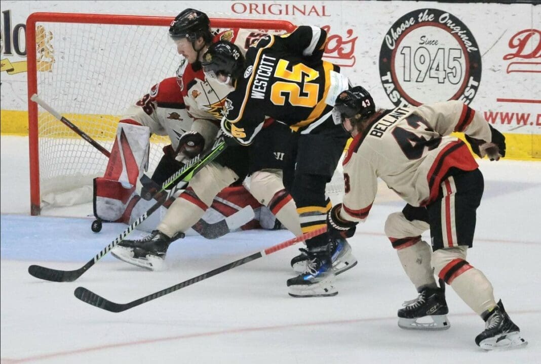 Teams playing hockey.