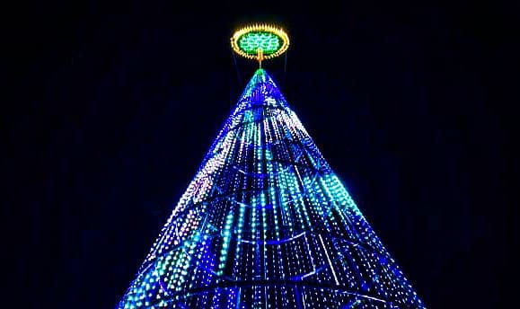 6B8410FE-EF09-4CBD-858E-3FAB73B77ED8 A light tree.