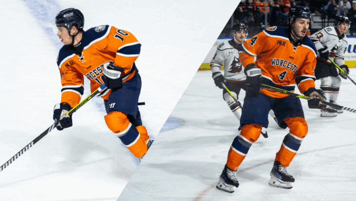 Nailers - 2025 - two new from savanah