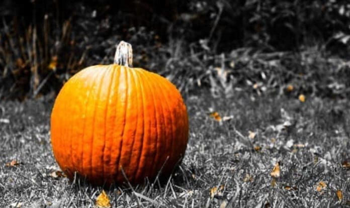 Screenshot A pumpkin.