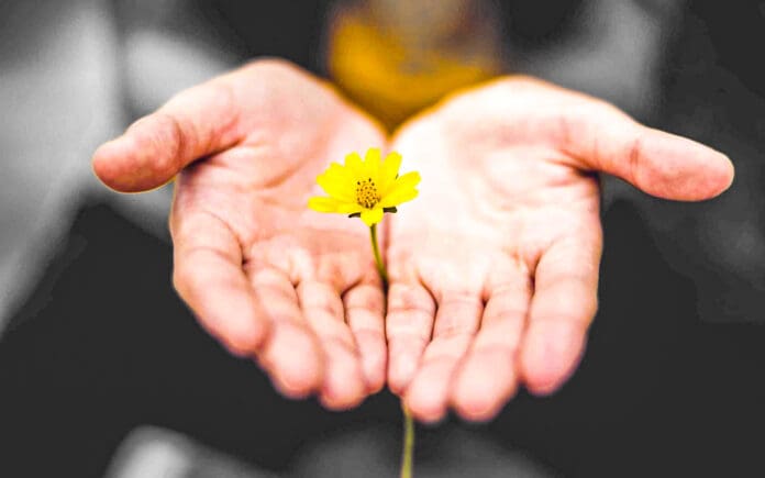 Two hands with a flower.